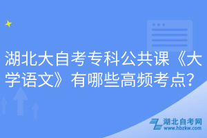 湖北大自考专科公共课《大学语文》有哪些高频考点？
