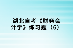 湖北自考《财务会计学》练习题（6）