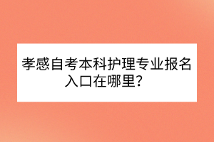 孝感自考本科护理专业报名入口在哪里？